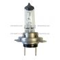 H7 Halogen Bulb Light - 55W White