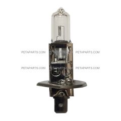 H1 Halogen Bulb Light - 62/62W White